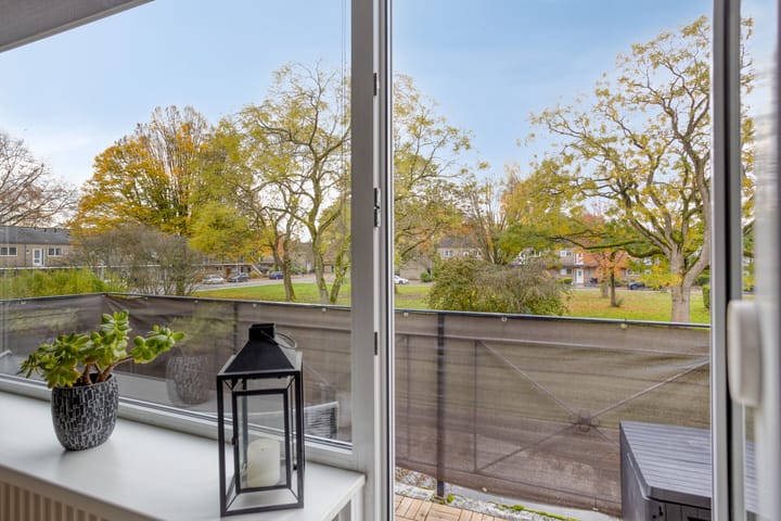 Foto 11 van Paulus Potterstraat 15