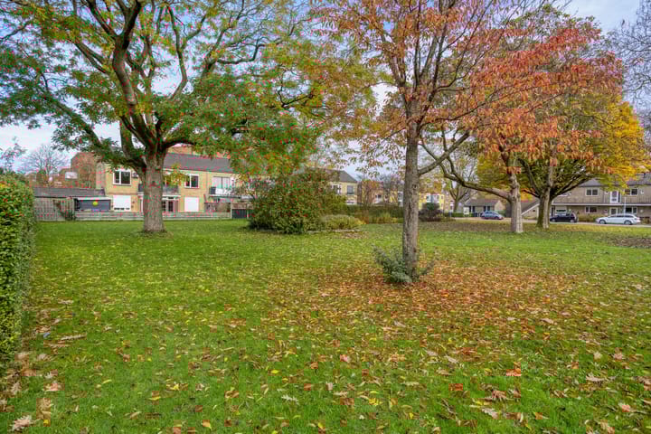 Foto 25 van Paulus Potterstraat 15