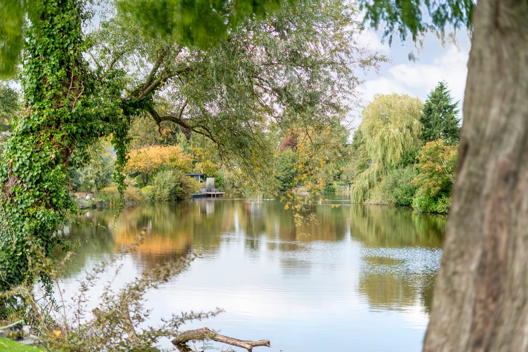 Foto 7 van Vijverlaan 15