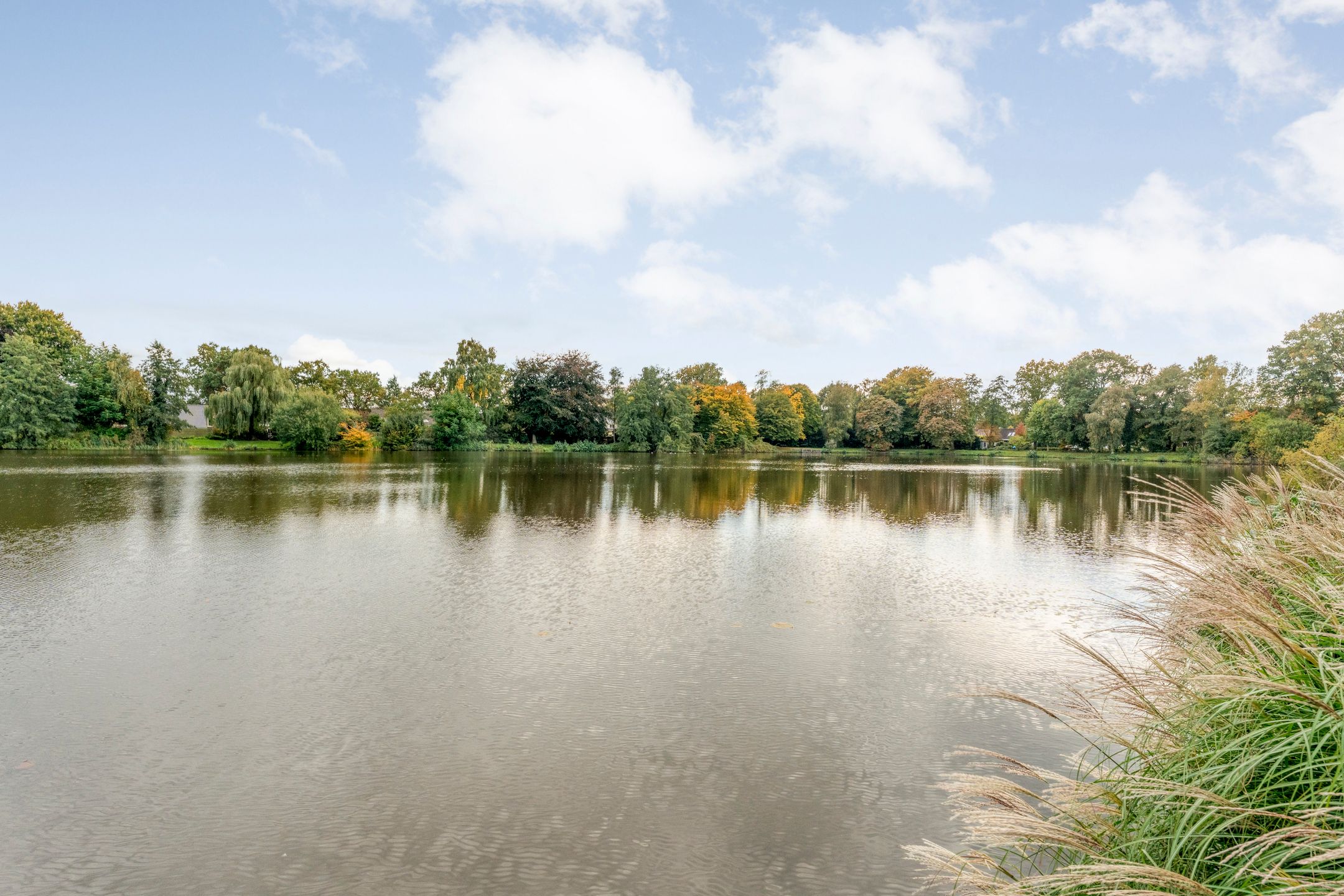 Foto 60 van Vijverlaan 15