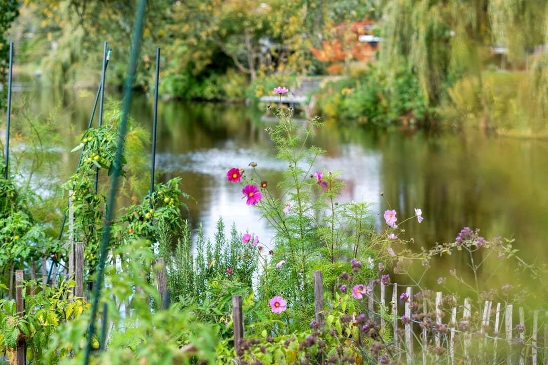 Foto 71 van Vijverlaan 15