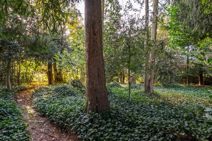 Foto 48 van Kapteijnlaan 38