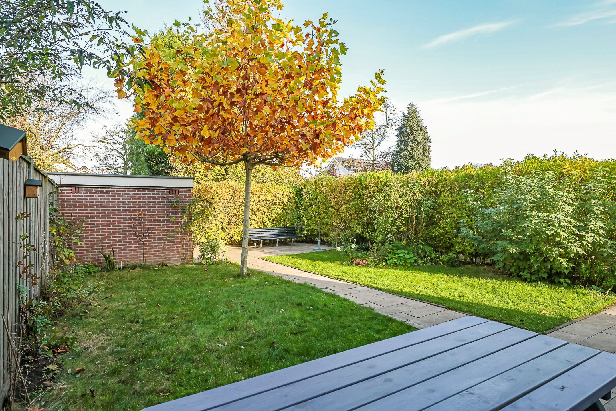 Foto 60 van Salviastraat 7