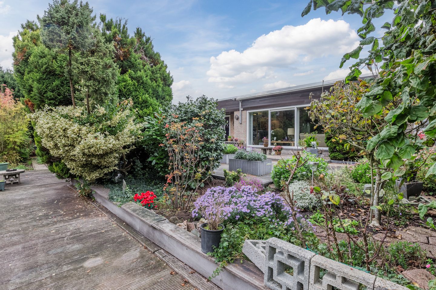 Photo 44 of Burgemeester van Baaklaan 21