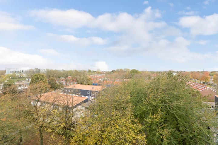 Foto 36 van Hobokenstraat 239