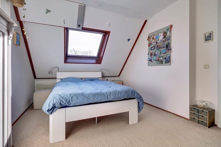 Photo 17 of Torentrans 15