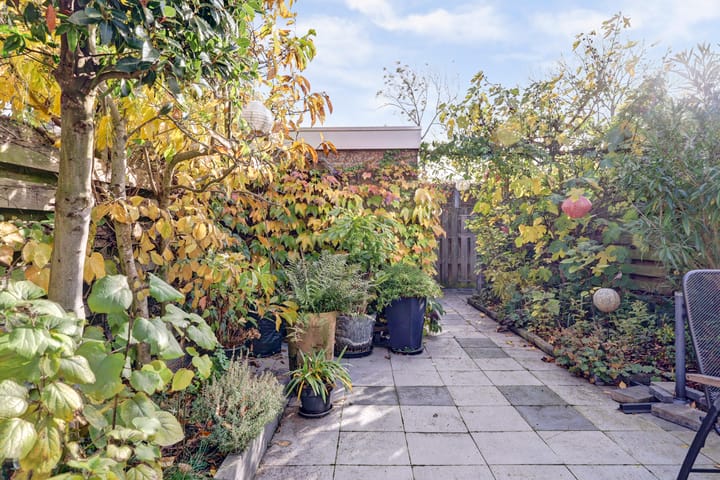 Photo 27 of Torentrans 15