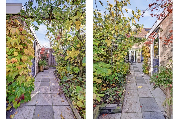 Photo 29 of Torentrans 15