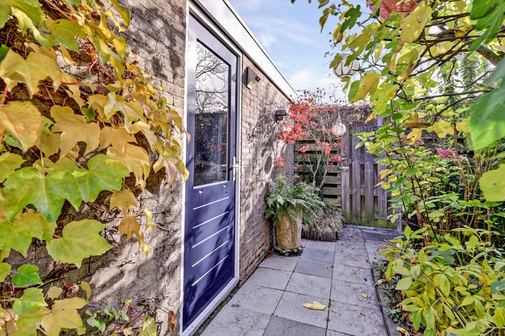 Photo 31 of Torentrans 15