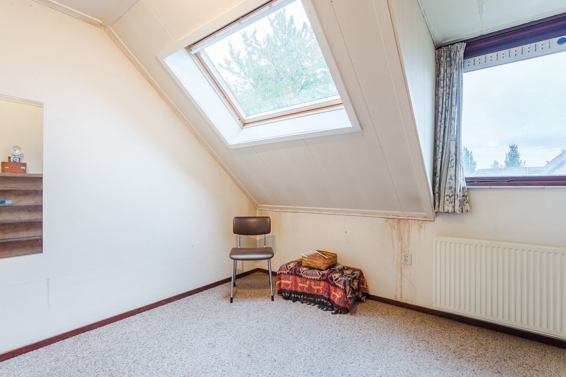 Foto 18 van Wilgeboom 15