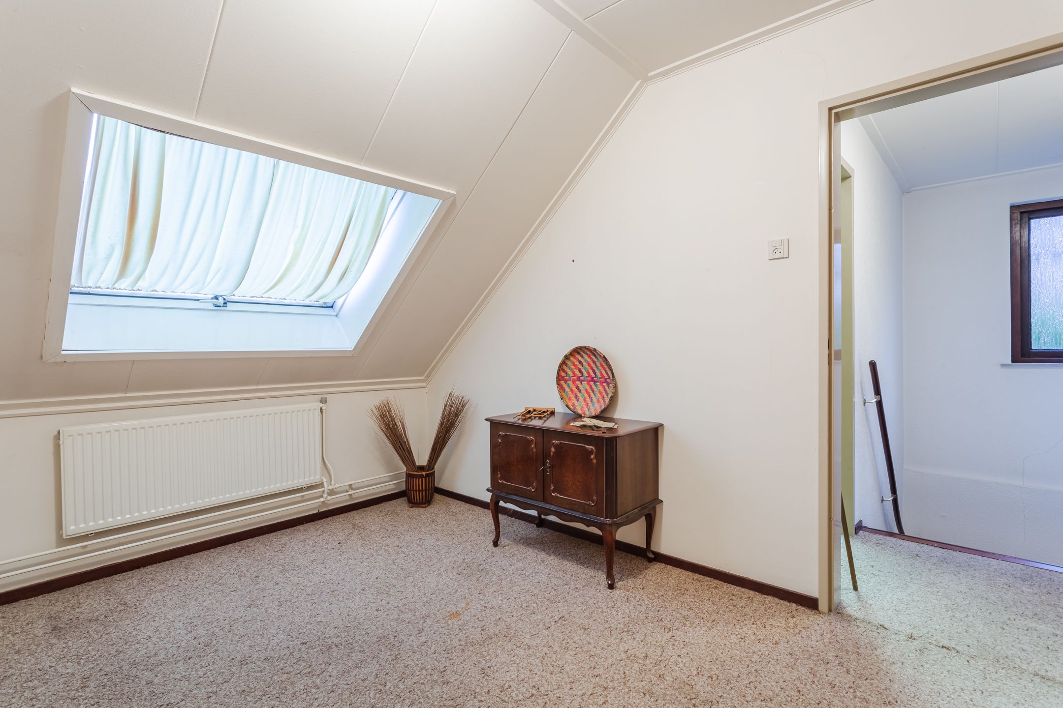 Foto 21 van Wilgeboom 15