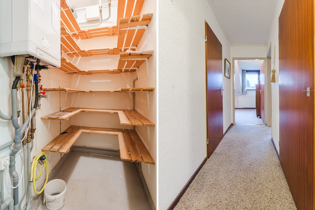 Foto 26 van Wilgeboom 15