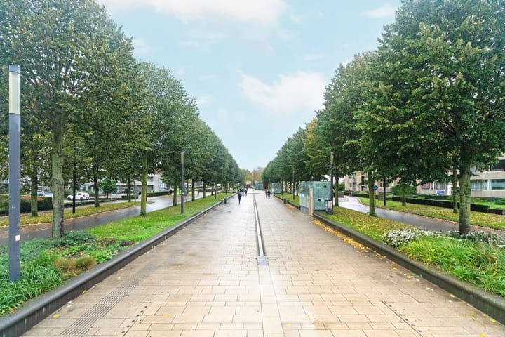 Foto 35 van van Schaeck Mathonsingel 47