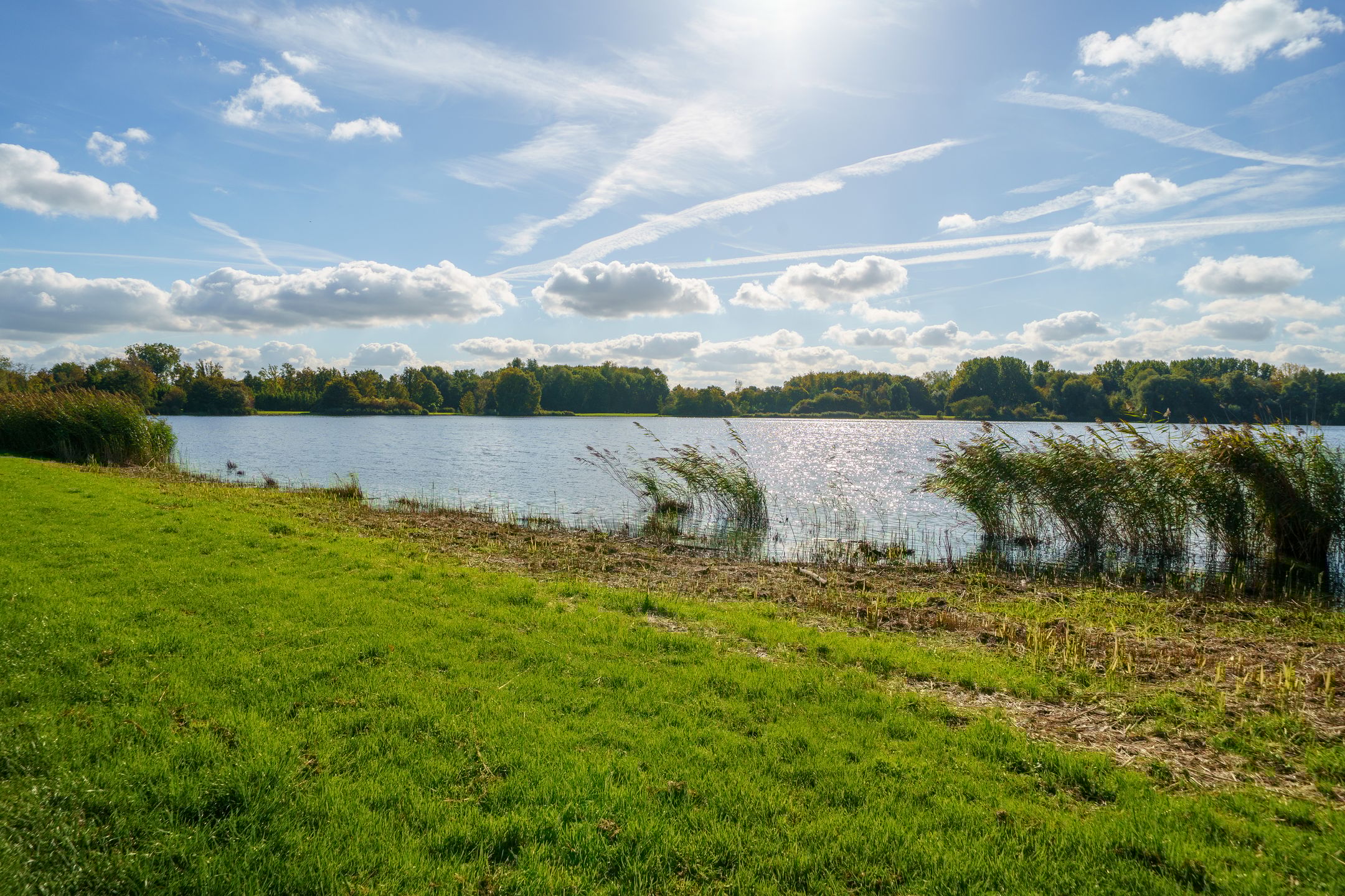 Foto 24 van Walvisplein 94-B