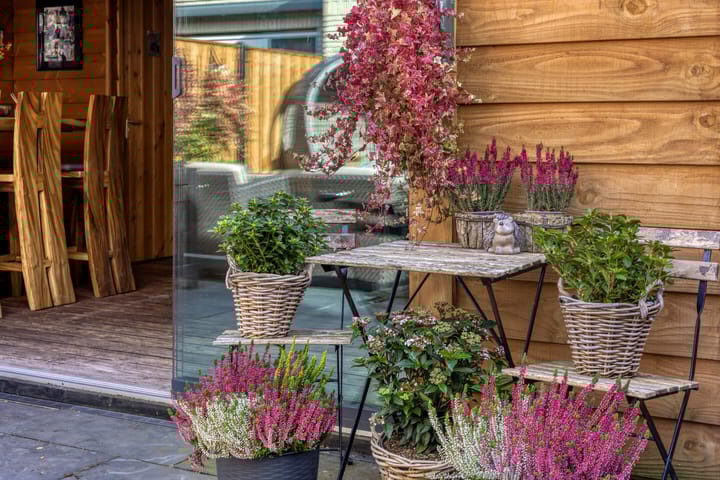 Foto 50 van Leen van der Houwenstraat 66