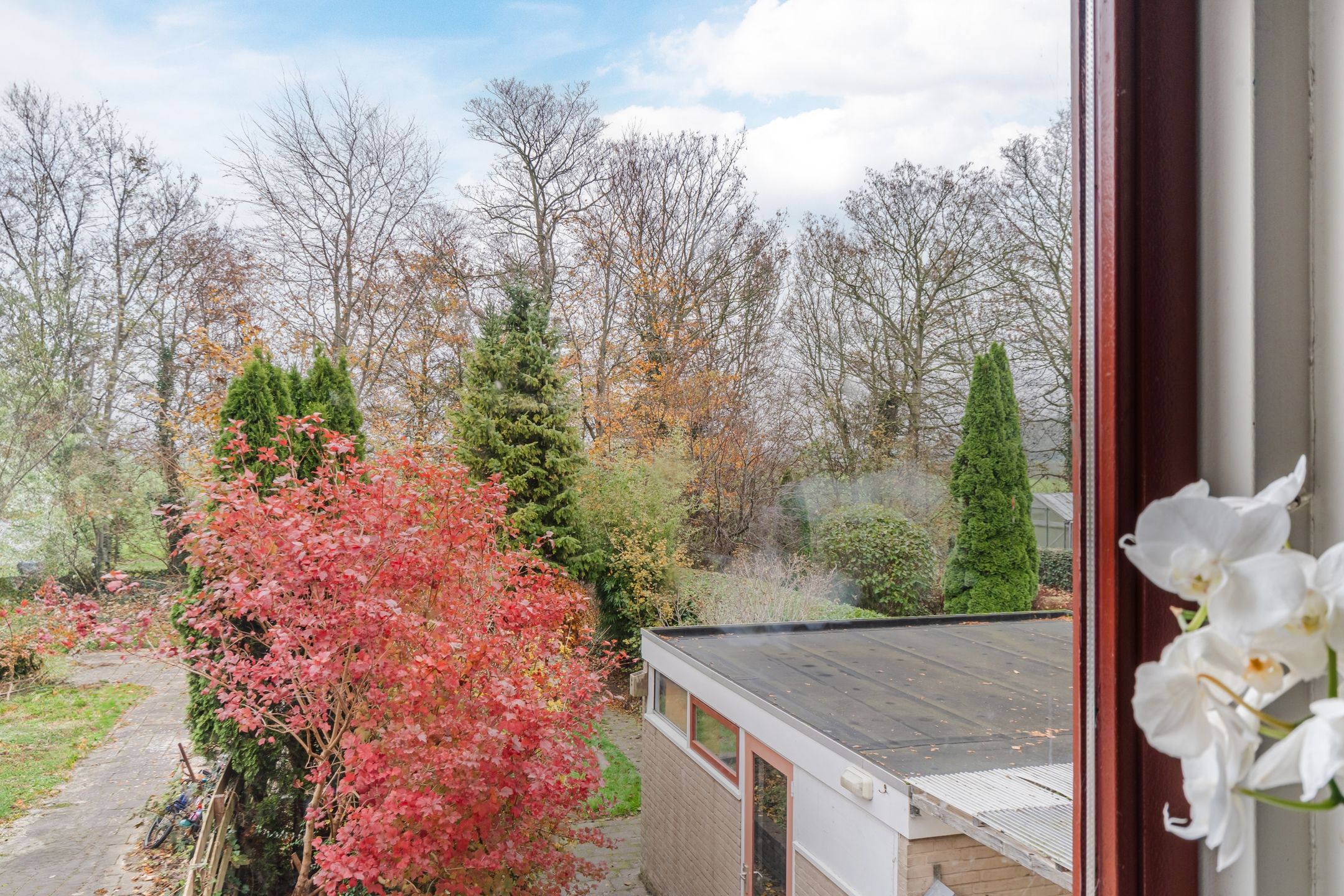 Photo 39 of Langeweg 75