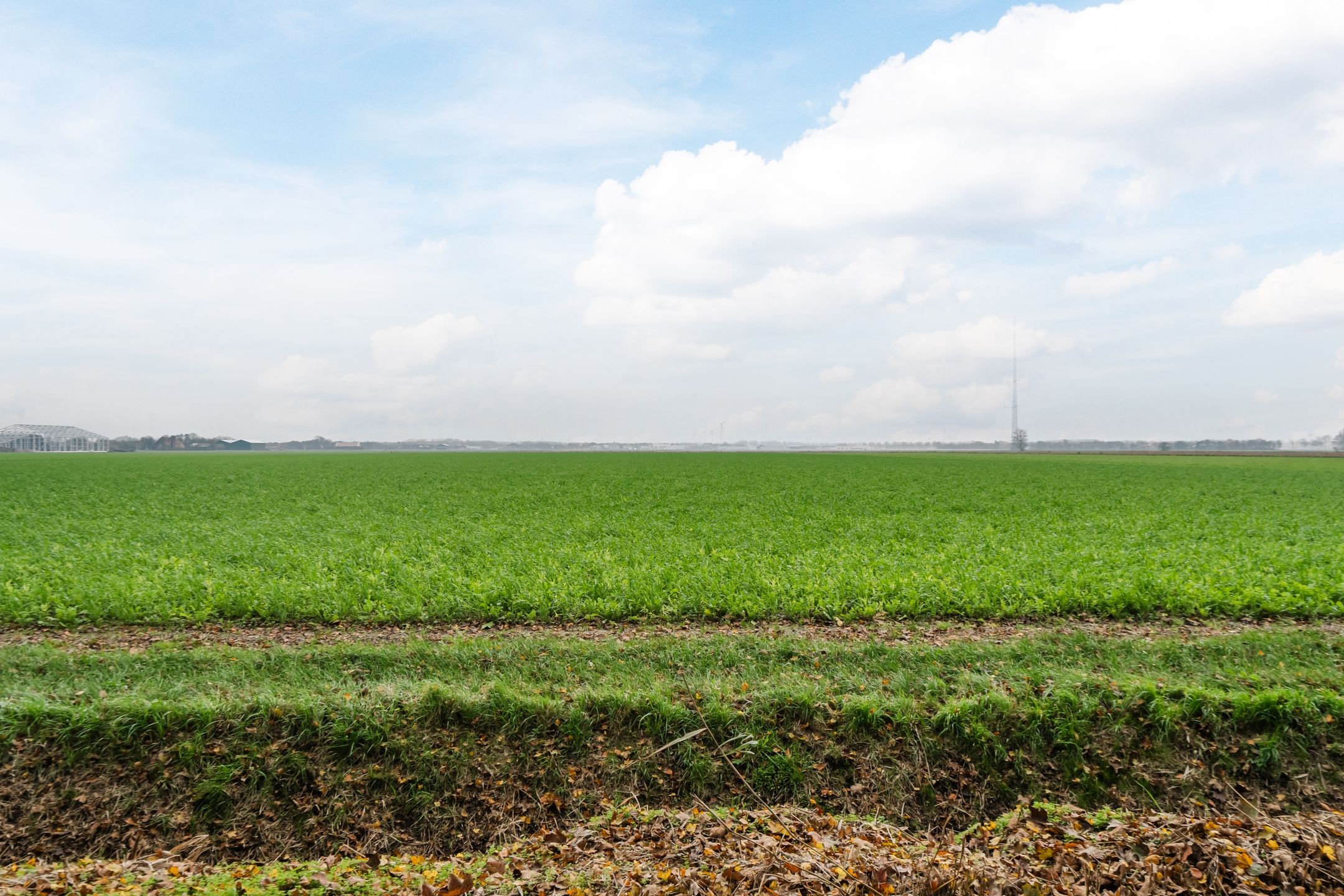 Photo 63 of Langeweg 75