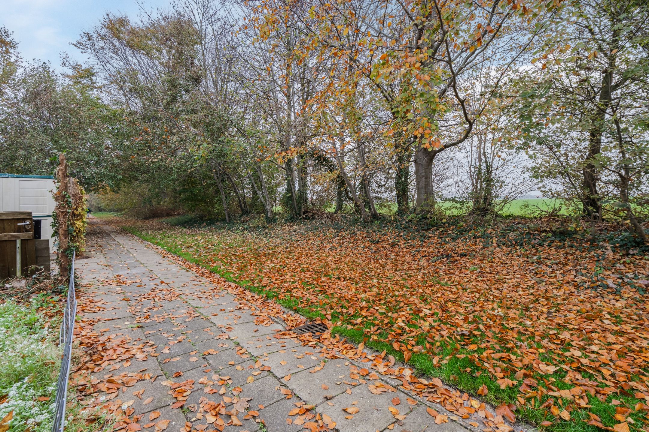 Photo 60 of Langeweg 75