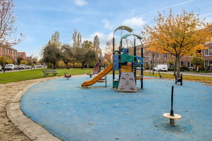 Photo 40 of Ternatestraat 14