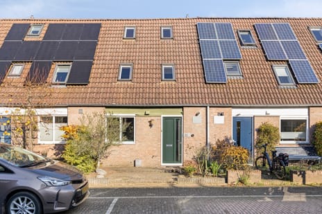 undefined main image