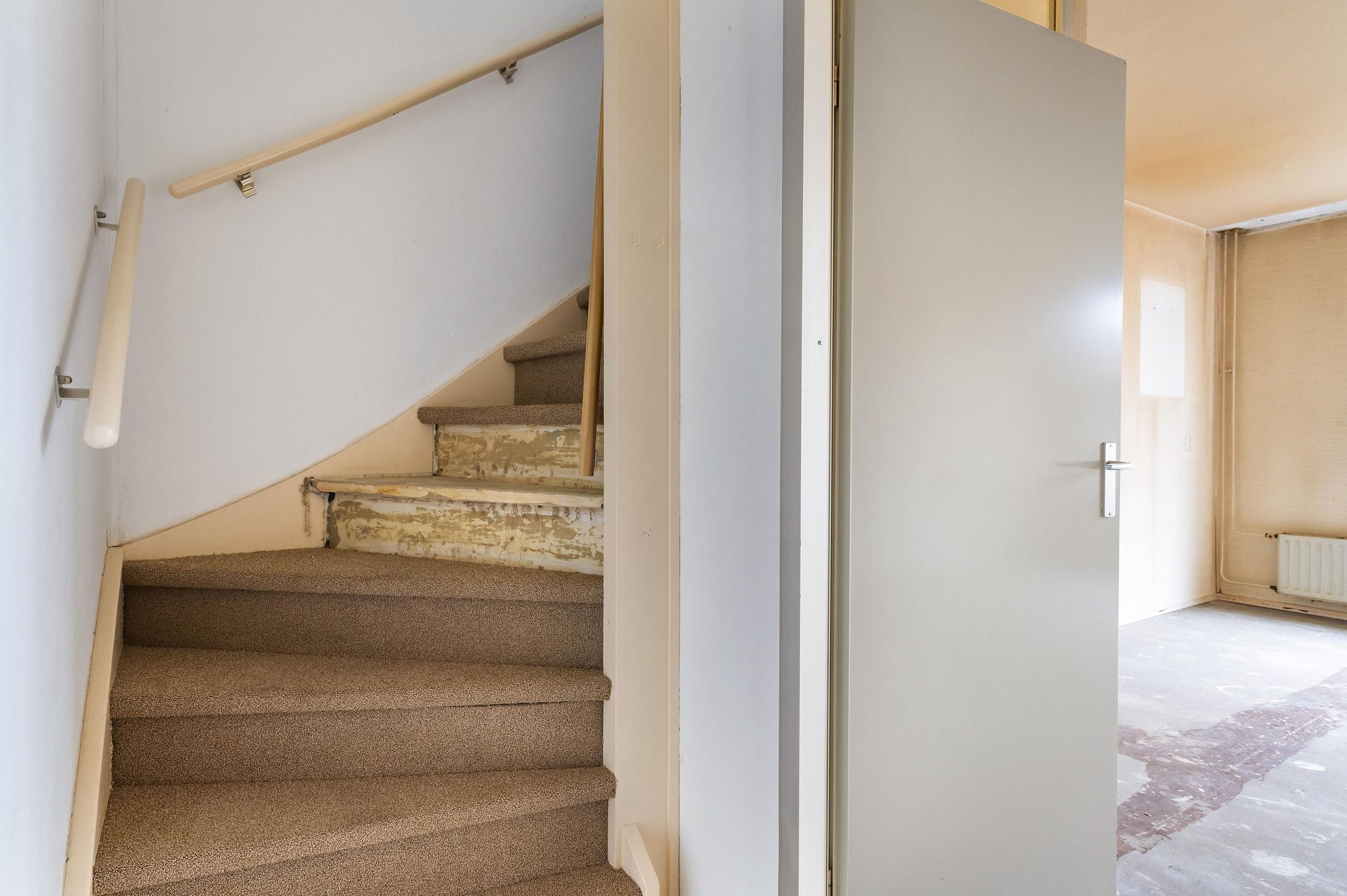 Foto 15 van Kamelenspoor 234