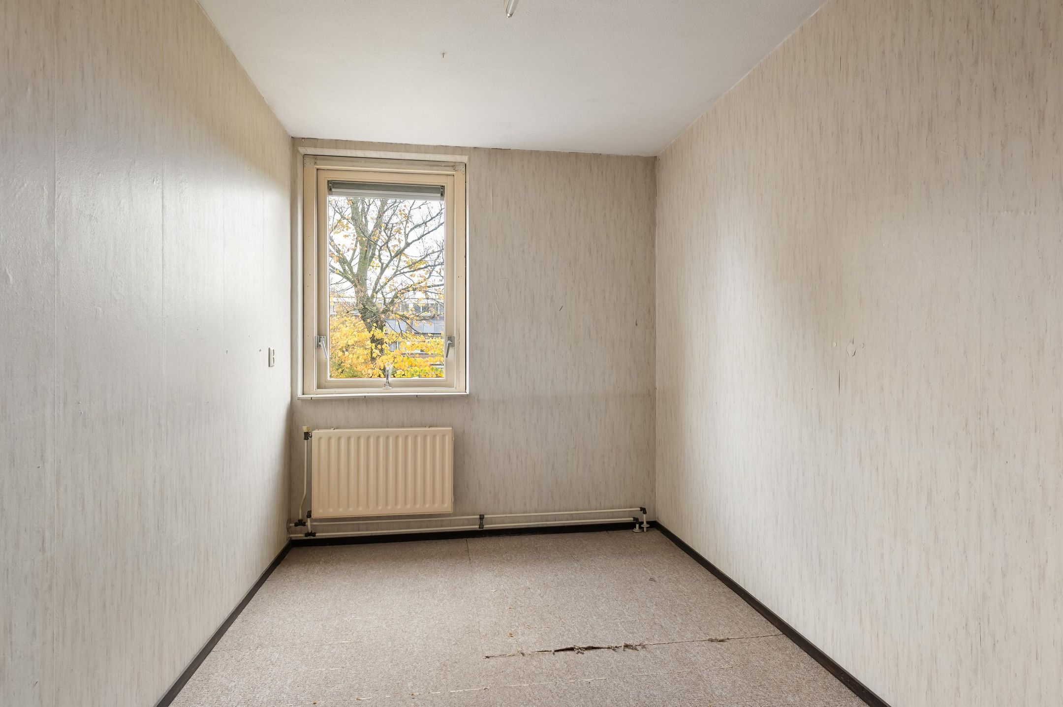 Foto 18 van Kamelenspoor 234