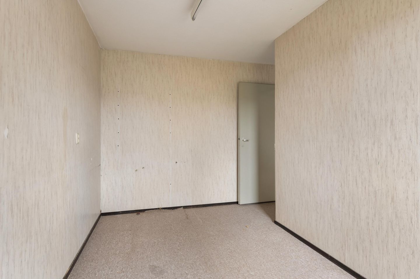 Foto 20 van Kamelenspoor 234