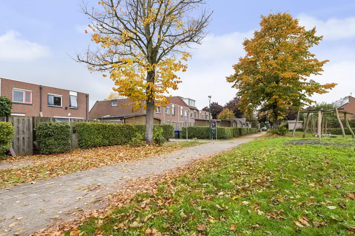 Photo 29 of Kamelenspoor 234