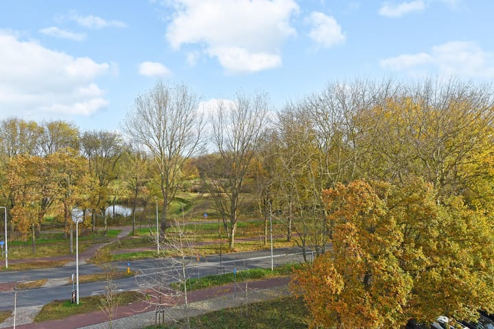 Foto 23 van Thomas Mannsingel 22