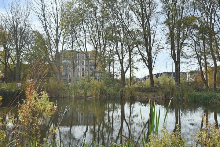 Foto 28 van Thomas Mannsingel 22