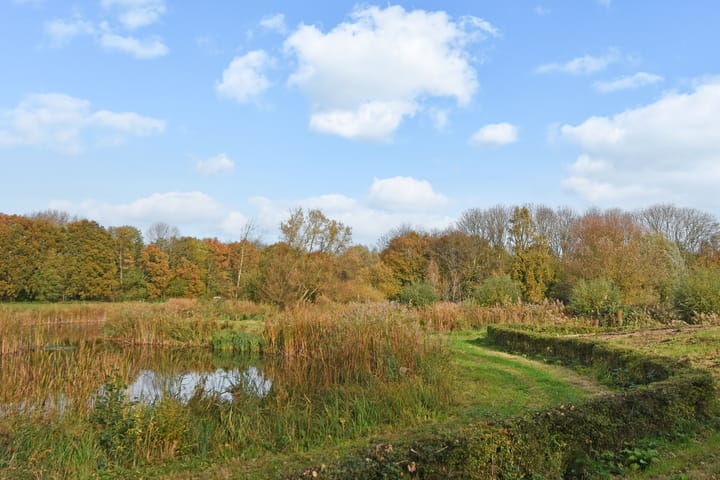 Foto 26 van Thomas Mannsingel 22