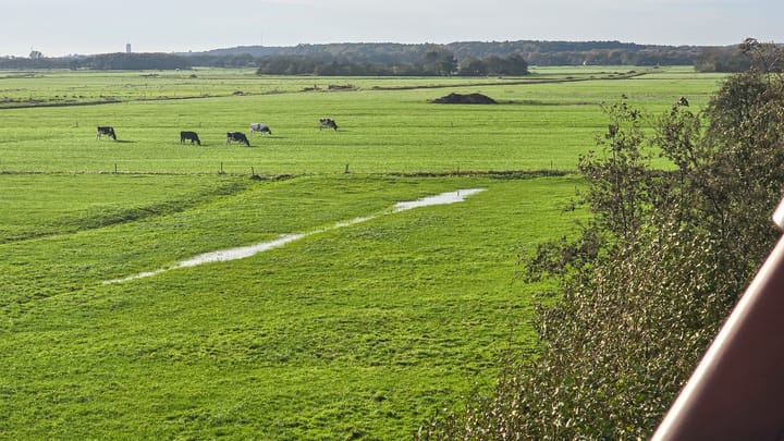 Foto 11 van Heereweg 5-38