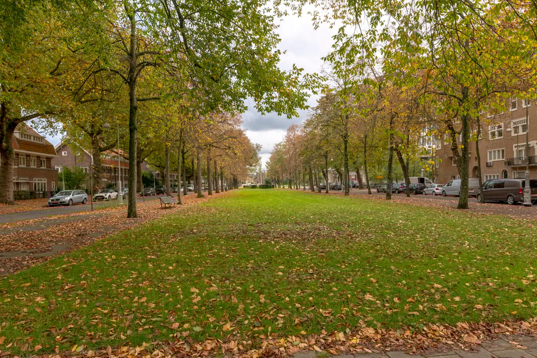 Photo 47 of Apollolaan 52