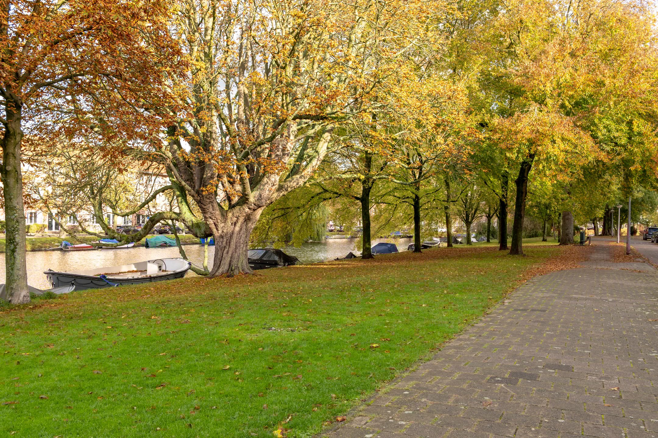 Photo 48 of Apollolaan 52