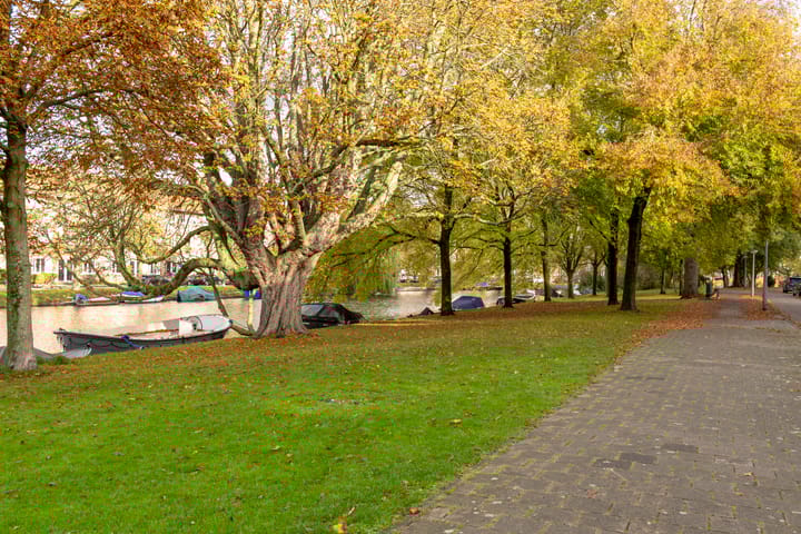 Photo 48 of Apollolaan 52