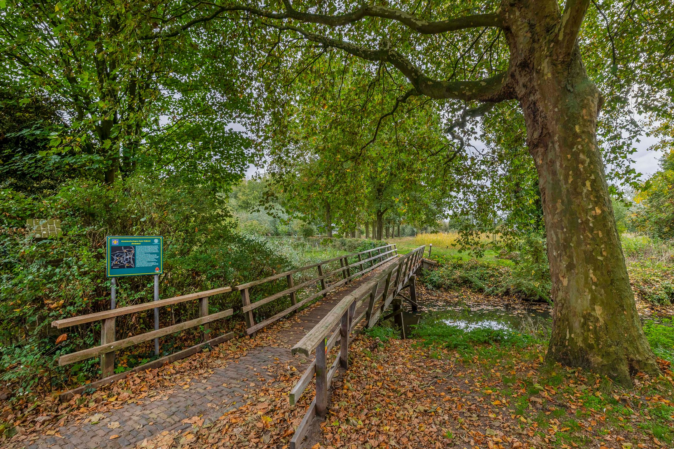 Foto 33 van Eerschotsestraat 90