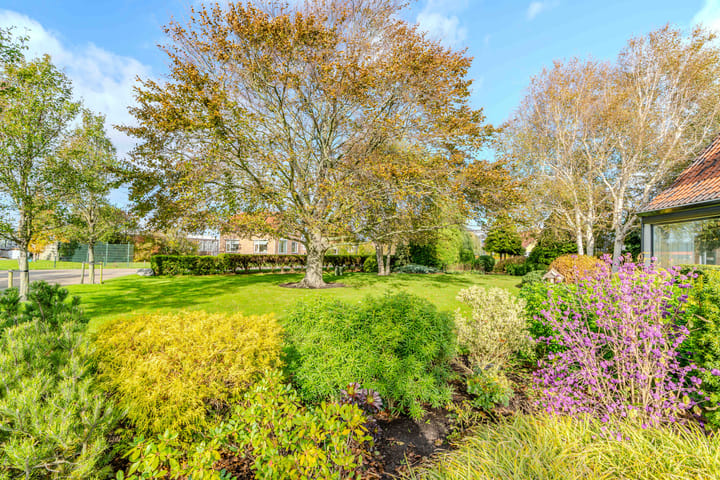 Photo 3 of Oudecampsweg 43