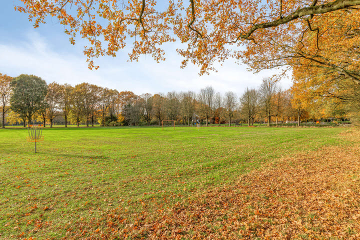 Photo 36 of Hamakerstraat 8