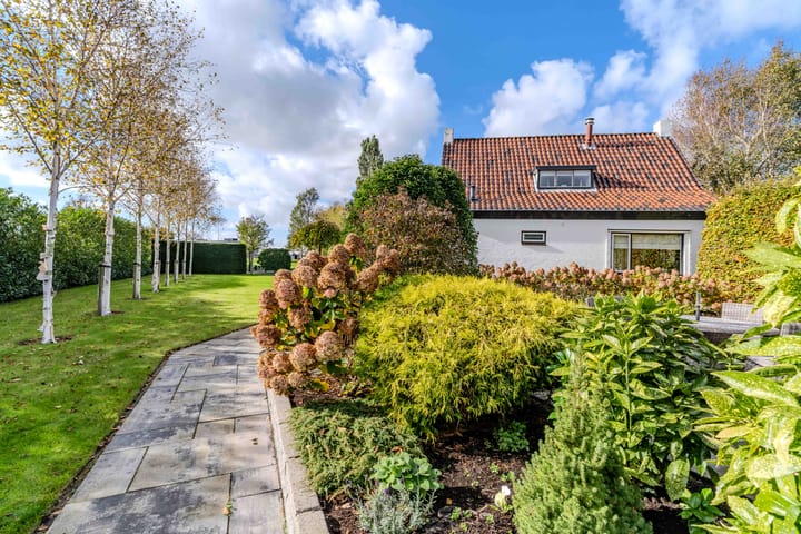 Foto 19 van Oudecampsweg 43