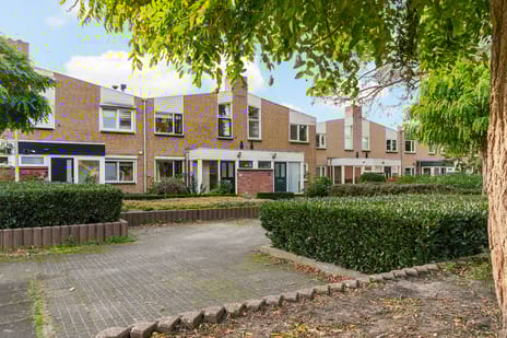 Peter Benoitpark thumbnail