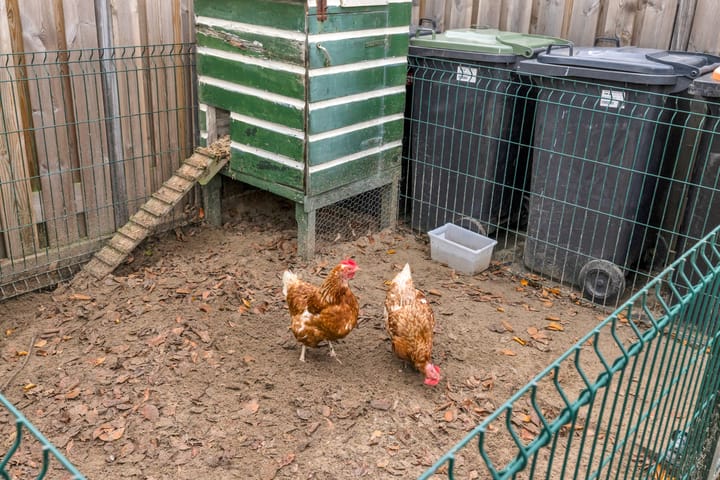 Photo 45 of Burgemeester van Nienesstraat 11