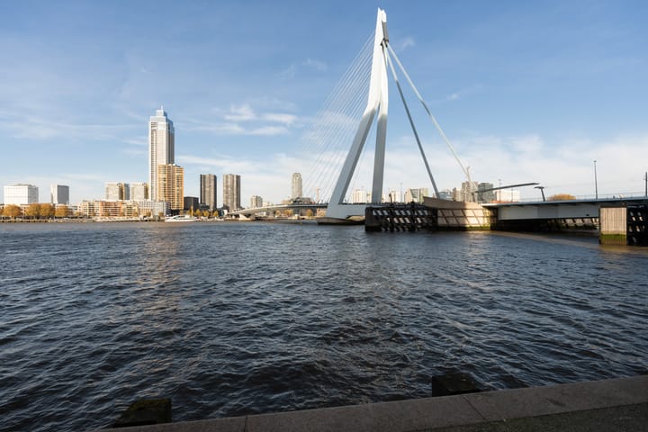 Foto 36 van Wilhelminakade 445