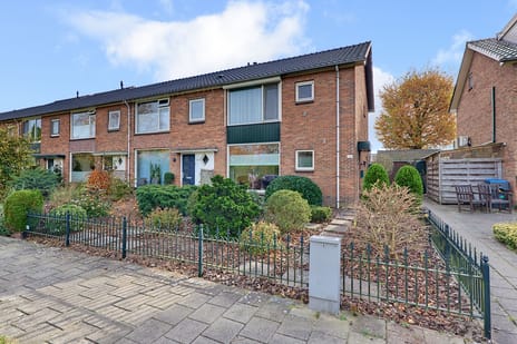 undefined main image