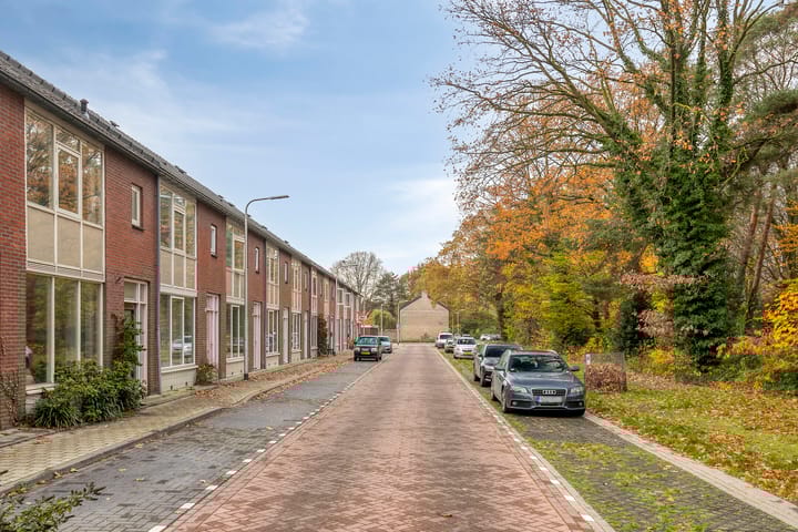 Photo 29 of Wijnruitweg 16