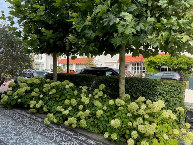 Foto 46 van Keukenhoflaan 63