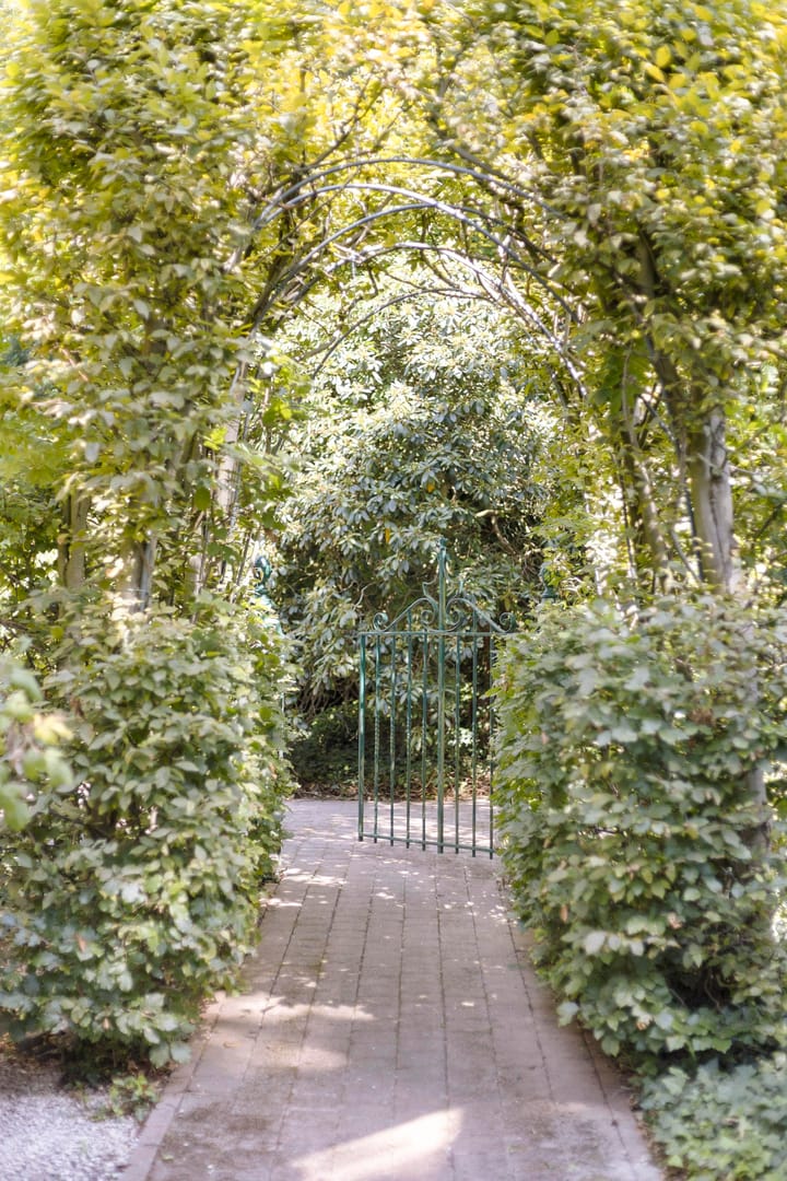 Foto 39 van Nieuwstraat 37