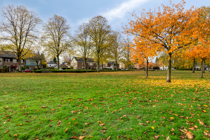 Photo 37 of Chrysantenstraat 39