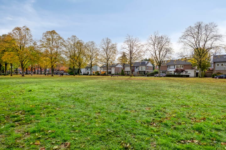 Photo 38 of Chrysantenstraat 39