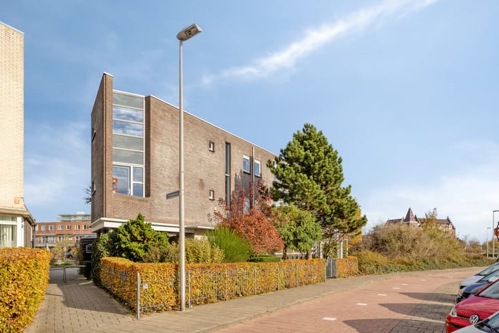 Photo 50 of Amazonelaan 2