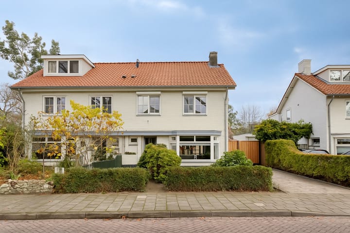 Foto 32 van Nassaustraat 18